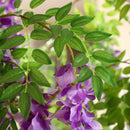 Árvore Artificial de Flores de 2,4 Metros com Vaso Branco de 45 cm