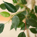 Árvore Artificial de Flores de 2,4 Metros com Vaso Branco de 45 cm